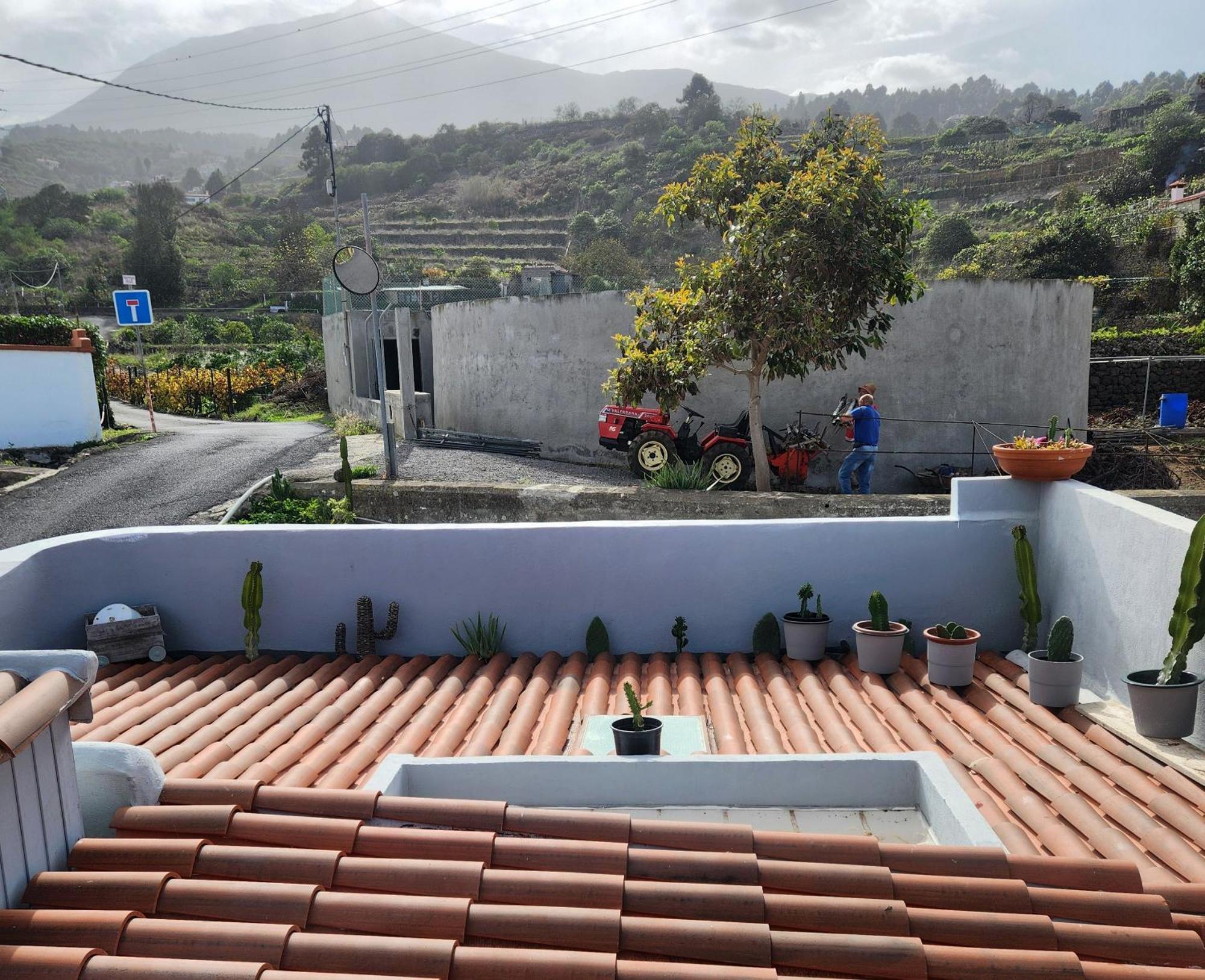 Casa Salvia Bed & Breakfast - Icod - Tenerife Bed & Breakfast Icod De Los Vinos Exterior photo